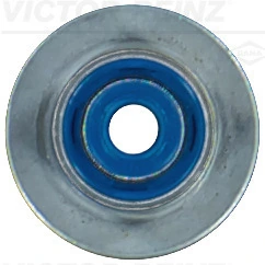 Seal Ring, valve stem
